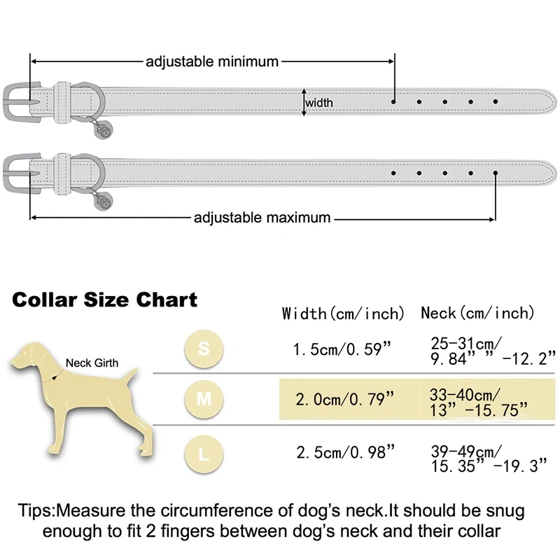 dog collar (5)