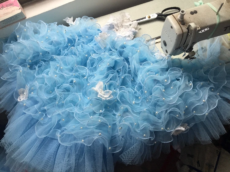Cão de estimação vestido festa de casamento
