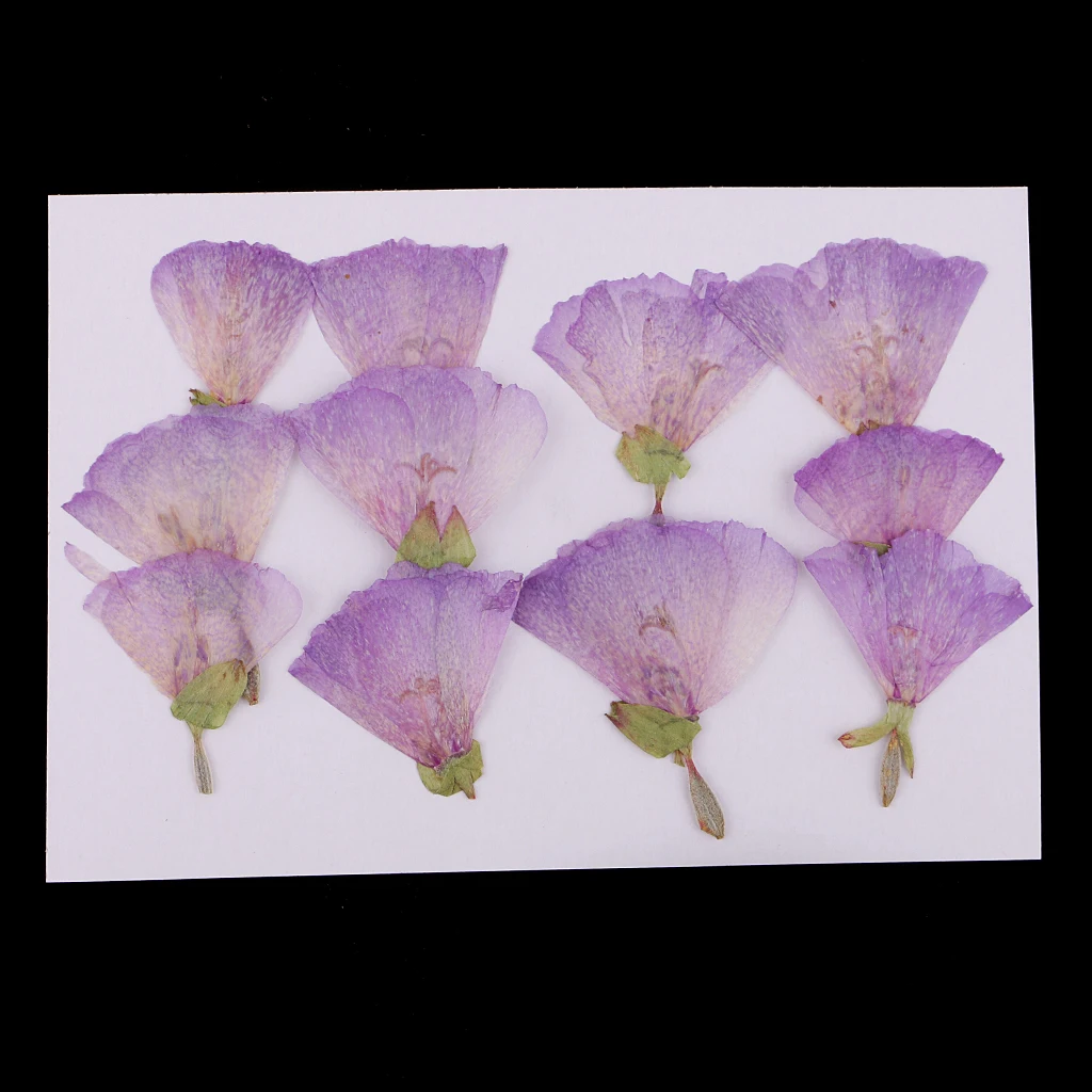 MagiDeal 12x Pressed Real Godetia Flower Dried Flowers DIY Phone Case Scrapbook Craft Artificia Flowers for Wedding Invitations