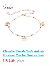 Chandler женский браслет-цепочка на лодыжку собачья лапа Сандалеты пляжные бижутерия для ног сплав цинка 30 см ножной браслет