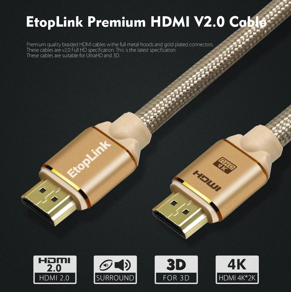 HDMI 1 (1)