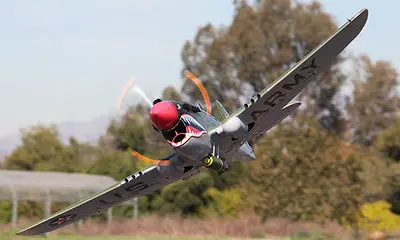 Огромный Scale Skyflight 2 м размах крыльев RC P40 EPO Warhawk пропеллер RTF модель самолета готов