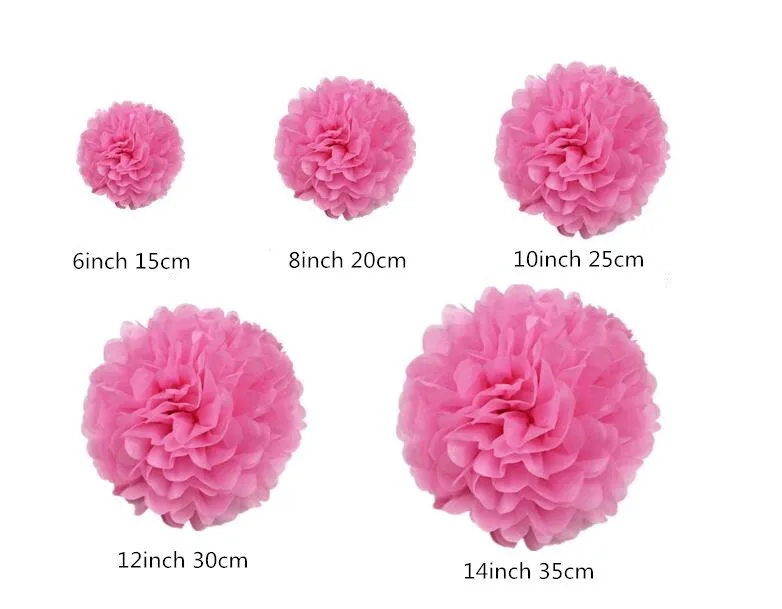 pom5
