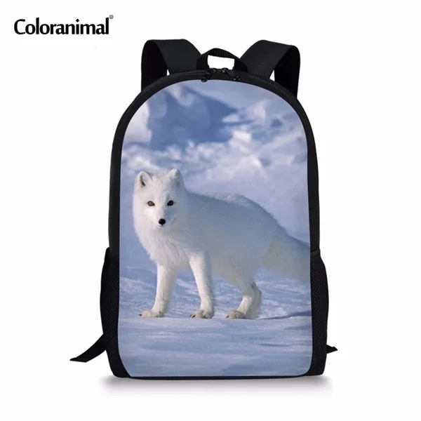 arctic fox school bags price