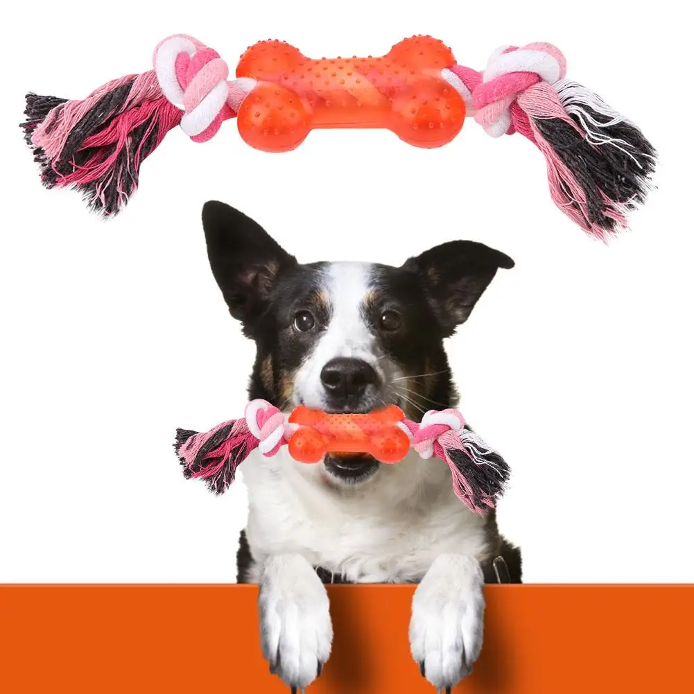 dog safe rope