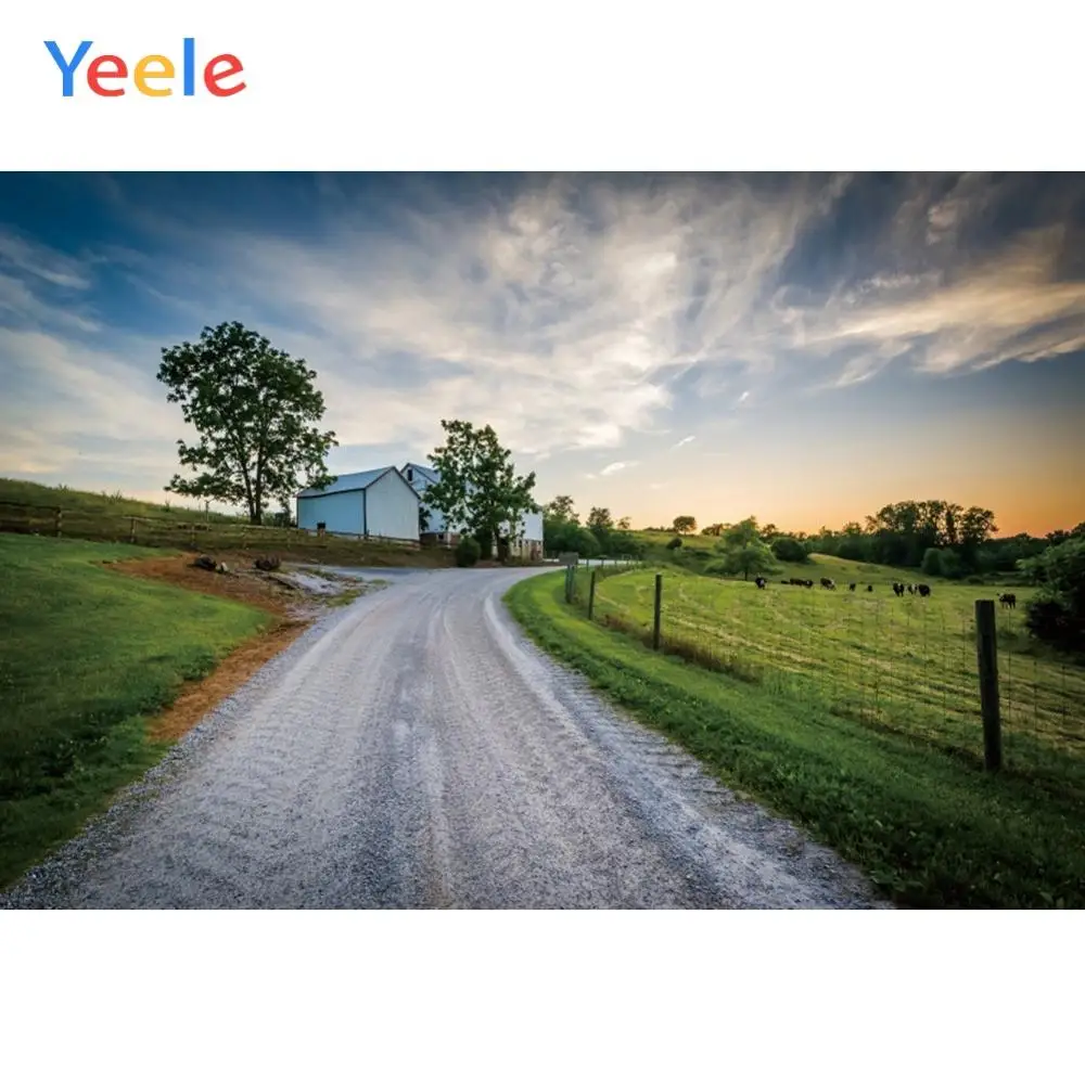 Фон для фотосъемки Yeele с изображением пейзажа пастбища рассвета и ранней фермы |