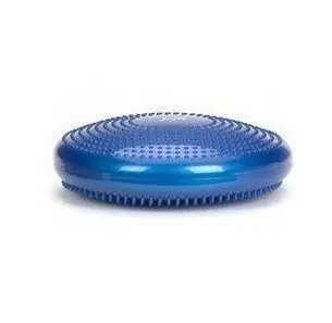 body sport balance disc
