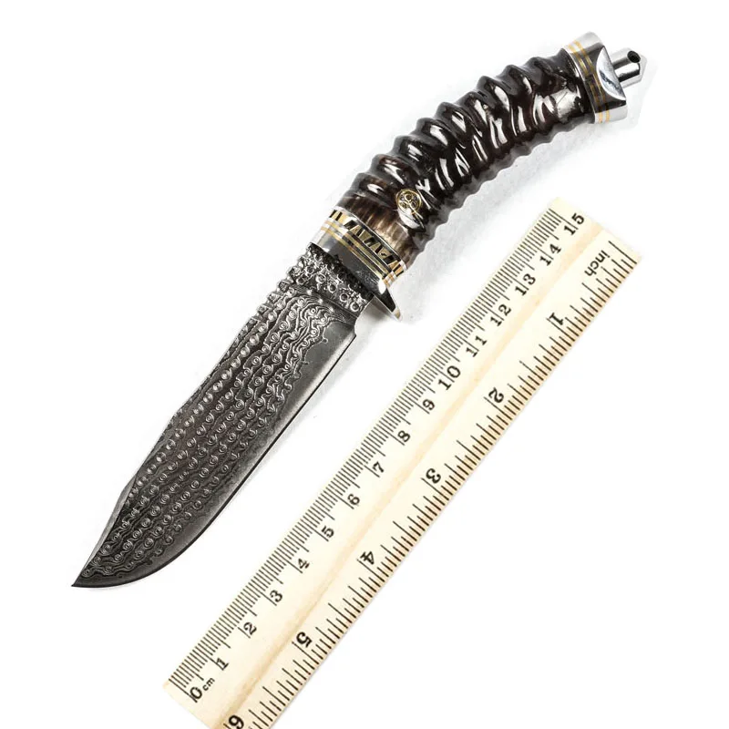 Damascus Steel Knife Outdoor Fixed Blade Tactical Camping Claw Hand for
