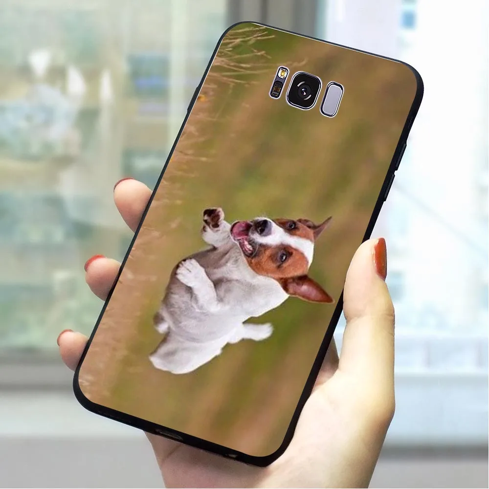 

Jack Russell Terrier Dog Soft TPU Case for Samsung Galaxy A70 Phone Cover for A8 A9 A10 A20 A30 A40 A50 A70 A3 A5 2016 A6 2017