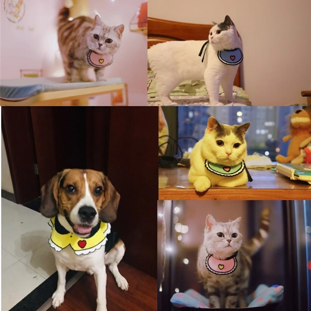 initpintu_副本