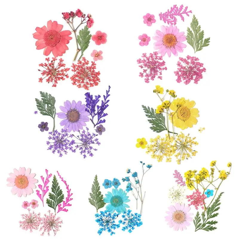 Сушеные цветы Лист УФ Смола украшения цветок сухой для маникюра ногтей наклейки эпоксидной формы DIY заполнения ювелирных изделий