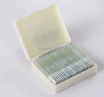 

25 pcs Prepared Glass Microscope Slides for Children Student Biological Microscopes with Chinese and English Label