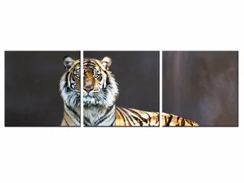 

3 Piece Modern Distinctive Animal Tiger HD Photography Art Canvas Print Painting Poster Wall Pictures Home Decor Frame QJFJ3-41