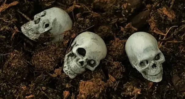 

1/35 Modified Parts Skull Head 3pcs/set