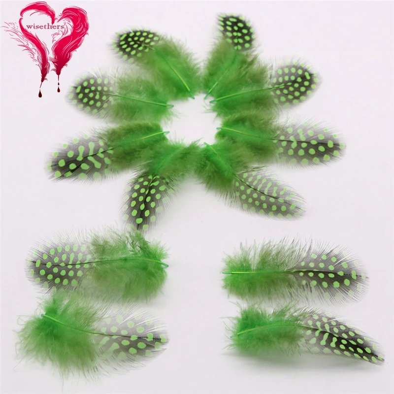 8 green guinea fowl feather 5