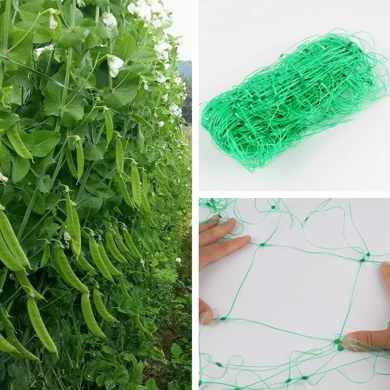 Climbing Plant Net 15x15cm Garden Netting Fruit Flower Support Netting Vine Veggie Trellis Netting Pea and Bean Cultivation