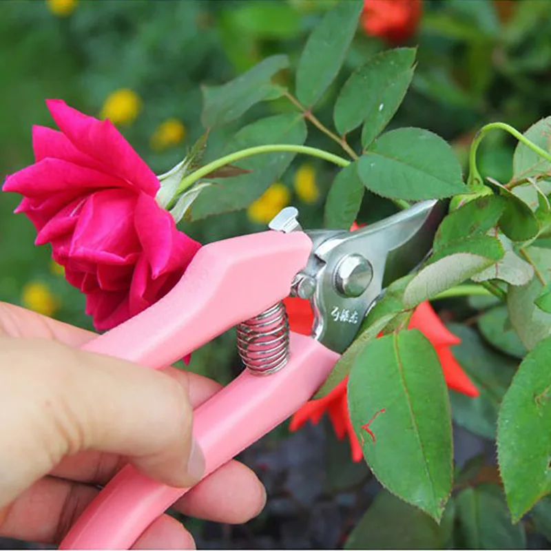 Pruning Scissors (11)
