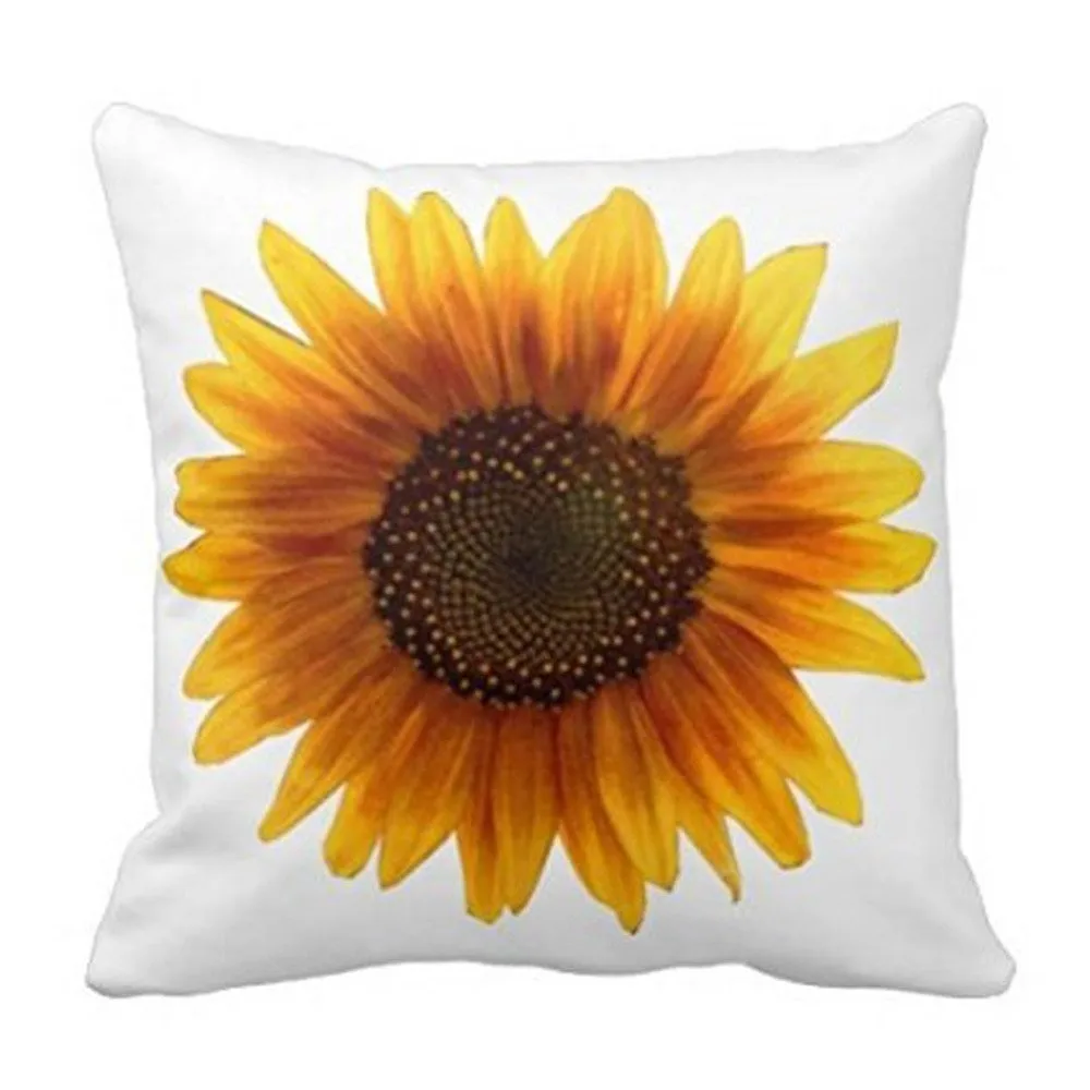 ZZF71210612_20171210045131924