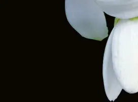 3-1