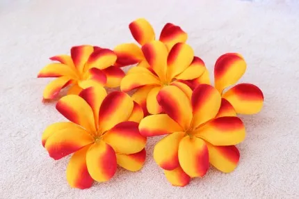 50 шт. Гавайская Плюмерия Frangipani искусственный ворс цветок головы для волос Свадебная вечеринка Декор - Цвет: orange