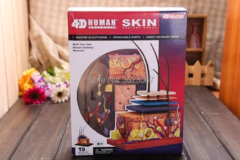 

Horse Anatomy Model 4D Vision Model by 4D Master endcational toys