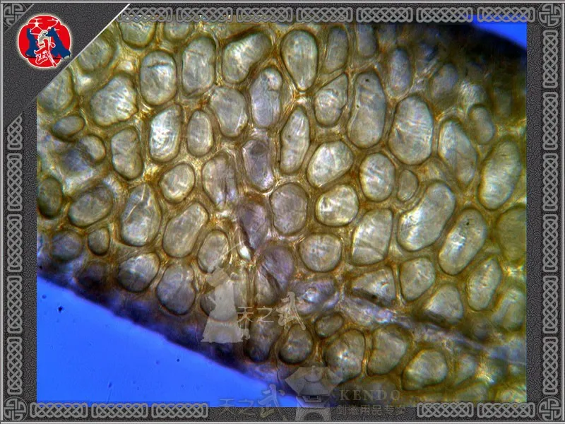 T2Zr_pXh4bXXXXXXXX_!!47428801