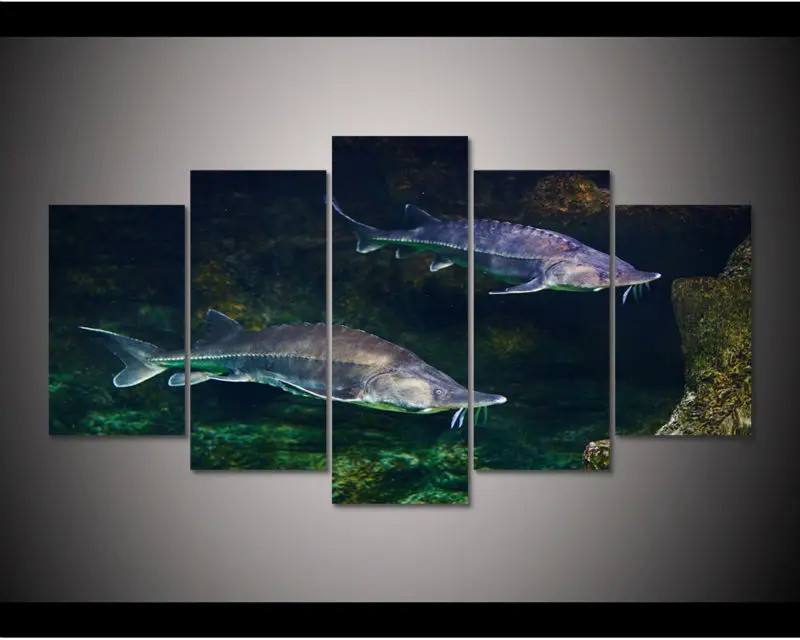 sturgeon