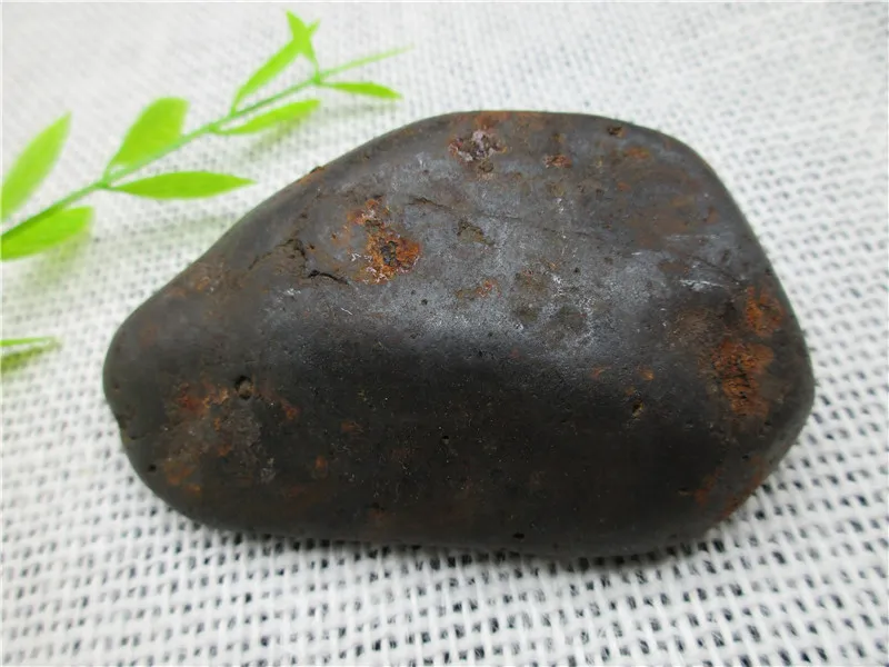 Campo del Cielo Meteorite Iron Meteor Space Rock FREE SHIPPING IN USA!