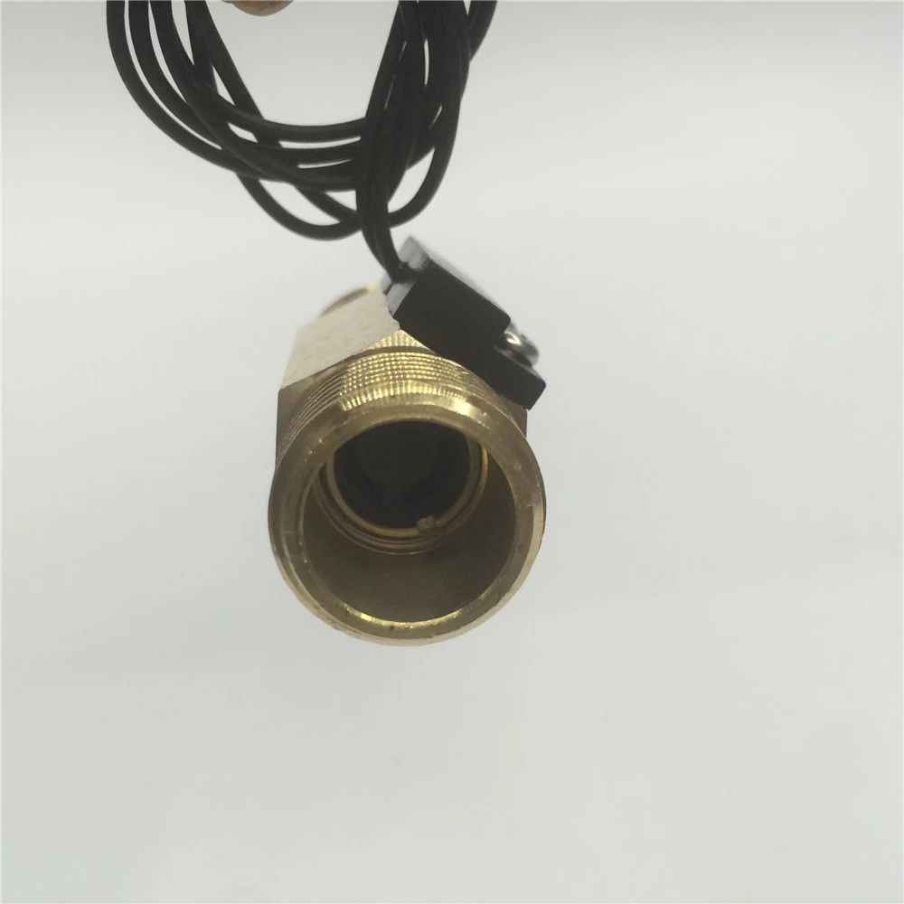 G1/2 &quotDC250V 70 Вт внешние зубы Reed Тип Магнитная водонагреватель индукции латунь
