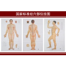 3 шт./компл. Стандартный Меридиан acupoint схема для акупунктуры Стандартный диаграмма физической Настенная карта человеческого тела Диаграмма пункты меридиана