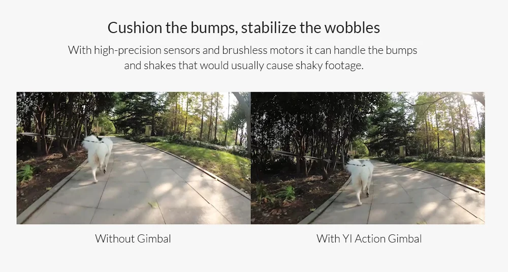 yi-action-gimbal_03