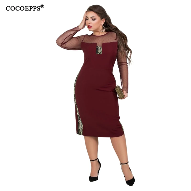 COCOEPPS  10