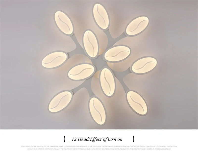 Post modern ceiling lamp (20)