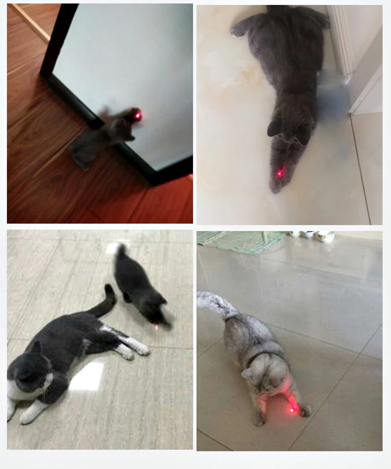 Pet Cat лазерные игрушки кошка игрушка-палочка Laserpen лазерная указка Белый светодиодный интерактивный тренажер игрушки для кошек товары для домашних животных