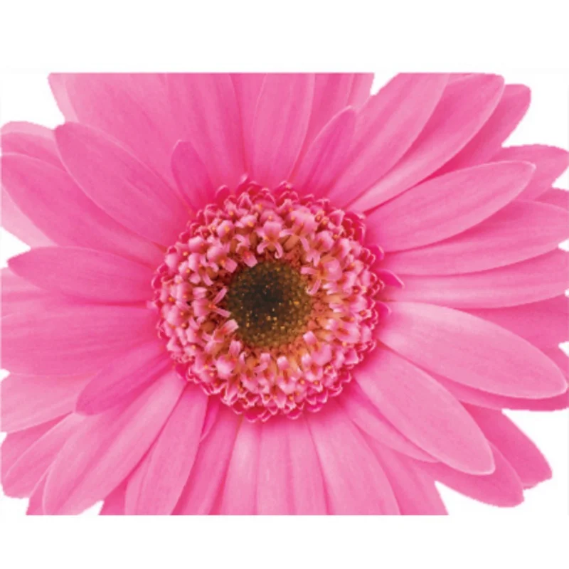 CB0276B (3)