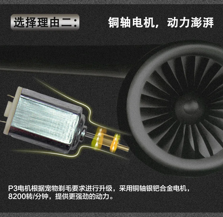 P3 (12)