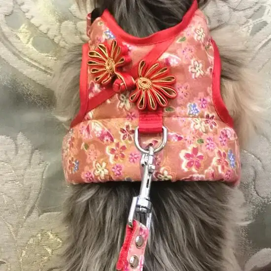 QQ截图20190225150821