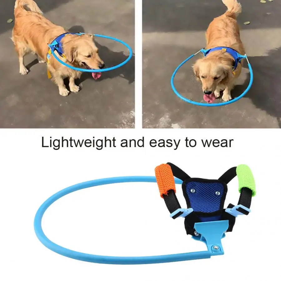 

Pet Dog Accessories Sturdy Durable Anti-corrosion Ring for Blind Pet Cataract Cat Dog Protective Circle