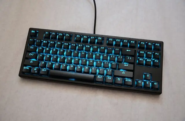 Plum 108 electrostatic capacitive pro mechanical keyboard topre clone switches gaming keyboard PBT keycap 87 TKL RGB  45g switch