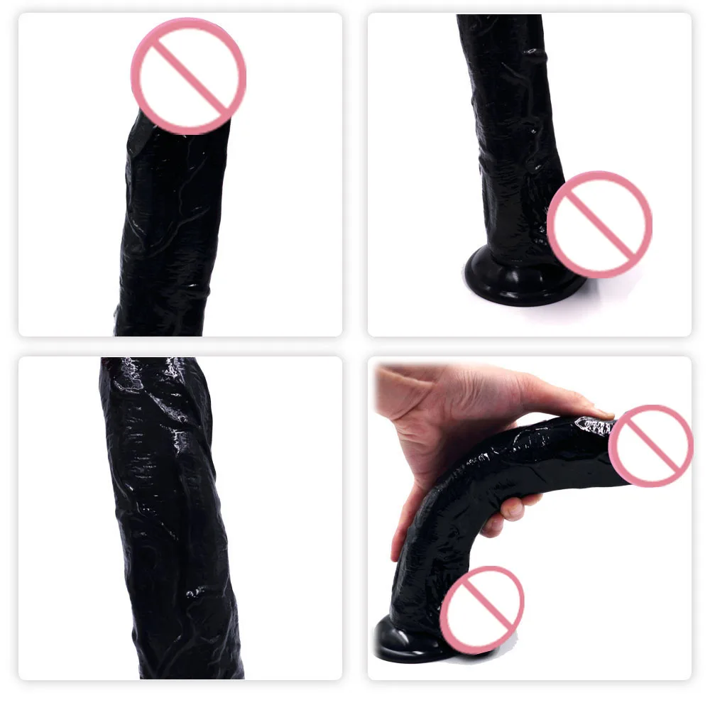 9004678699_1769561285