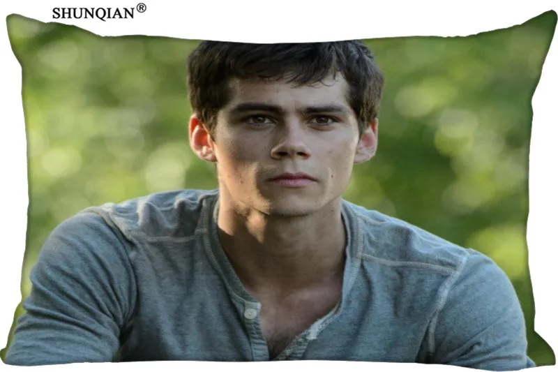 

LU Dylan O'Brien Custom Zippered Rectangle Pillowcases Pillow Cover Cases Size 40x60cm (Two sides)