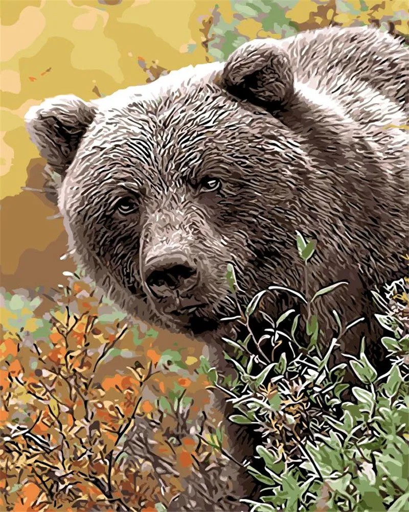 

Natural animals bear oil Painting drawing By Numbers hand paint Home Decoration Coloring pictures Paint By Numbers For room Gift