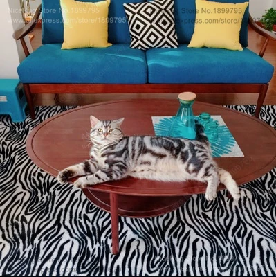 NC117- ZEBRA15 cat