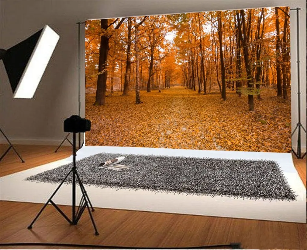 

Photography Backdrop Autumn Landscape Forest Yellow Leaves Photo Background Party