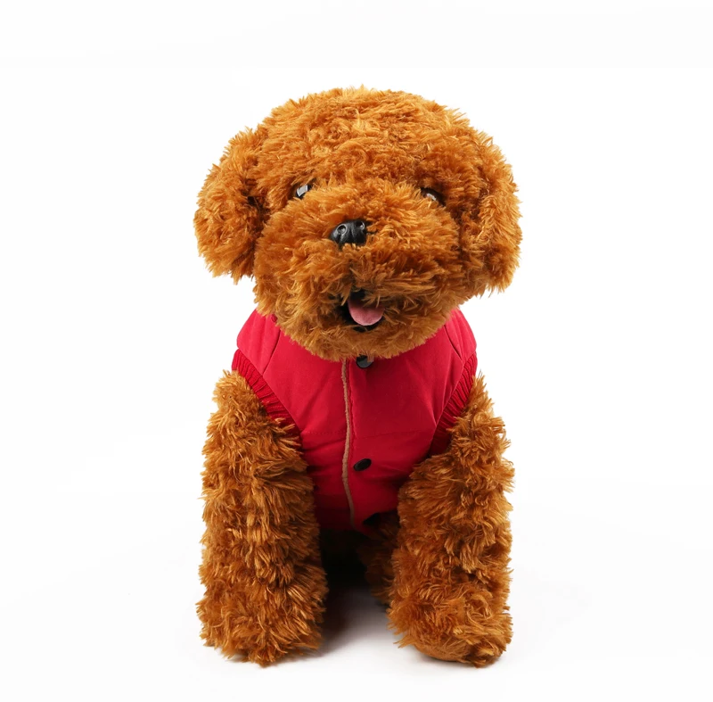 15 clothes dog 