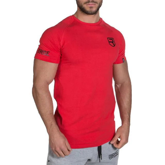 Alphalete 2019 New Brand Clothing Gyms Tight T shirt Mens Fitness T