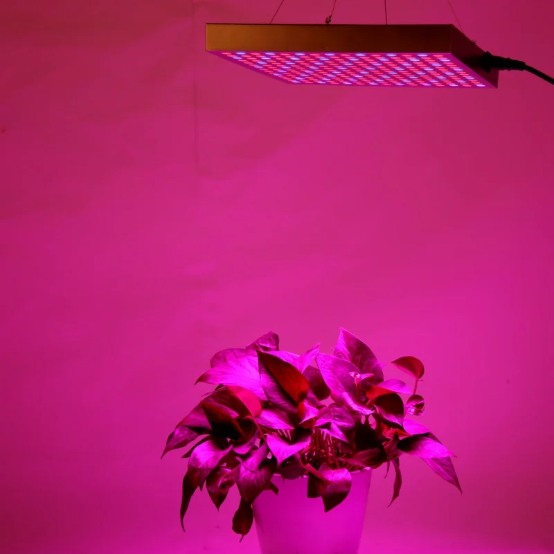 

2018 New Home Plant Lighting Full Spectrum 45W 225LEDs Grow Light For All Indoor Plants Medical Plant Grow