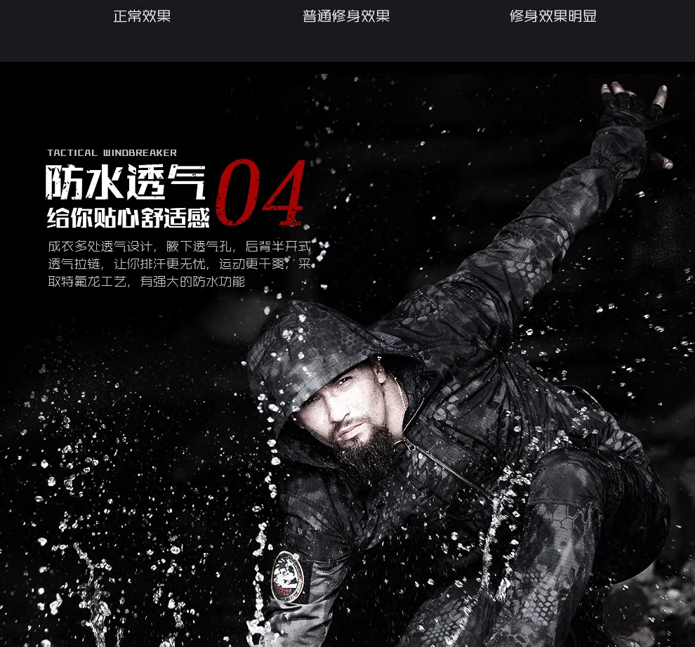haibao_07