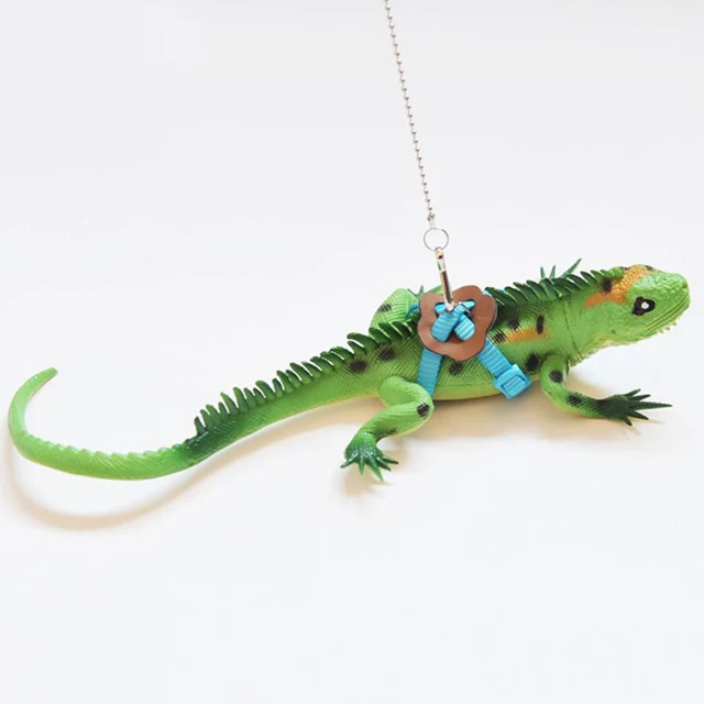 Lizards Iguana Reptiles Traction Rope Turtle Squirrel Amphibian