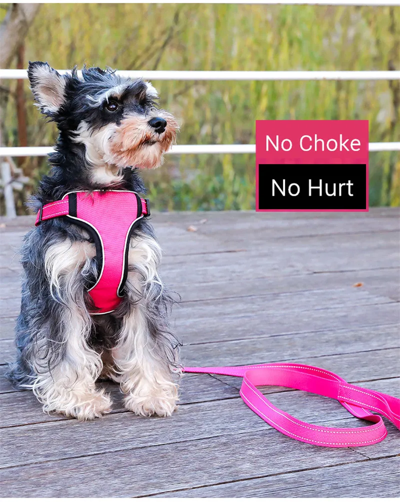 Dog Harness (12)